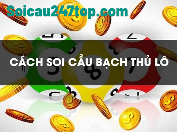 Huong-dan-soi-cau-lo-bach-thu-247