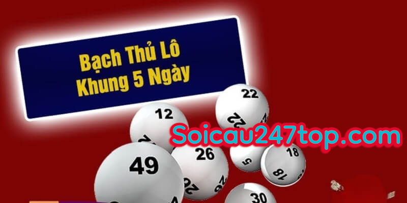 Nuôi lô bạch thủ khung 5 ngày