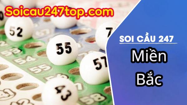 Soi-cau-247-mien-bac