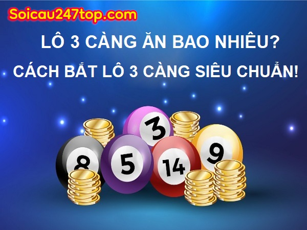 lo-3-cang-an-bao-nhieu-tien