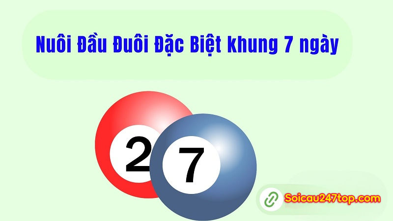 vao-tien-nuoi-dau-duoi-dac-biet-khung-7-ngay