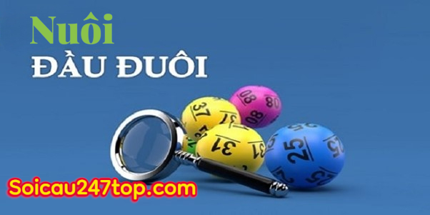 nuoi-dau-duoi-mien-phi-chinh-xac