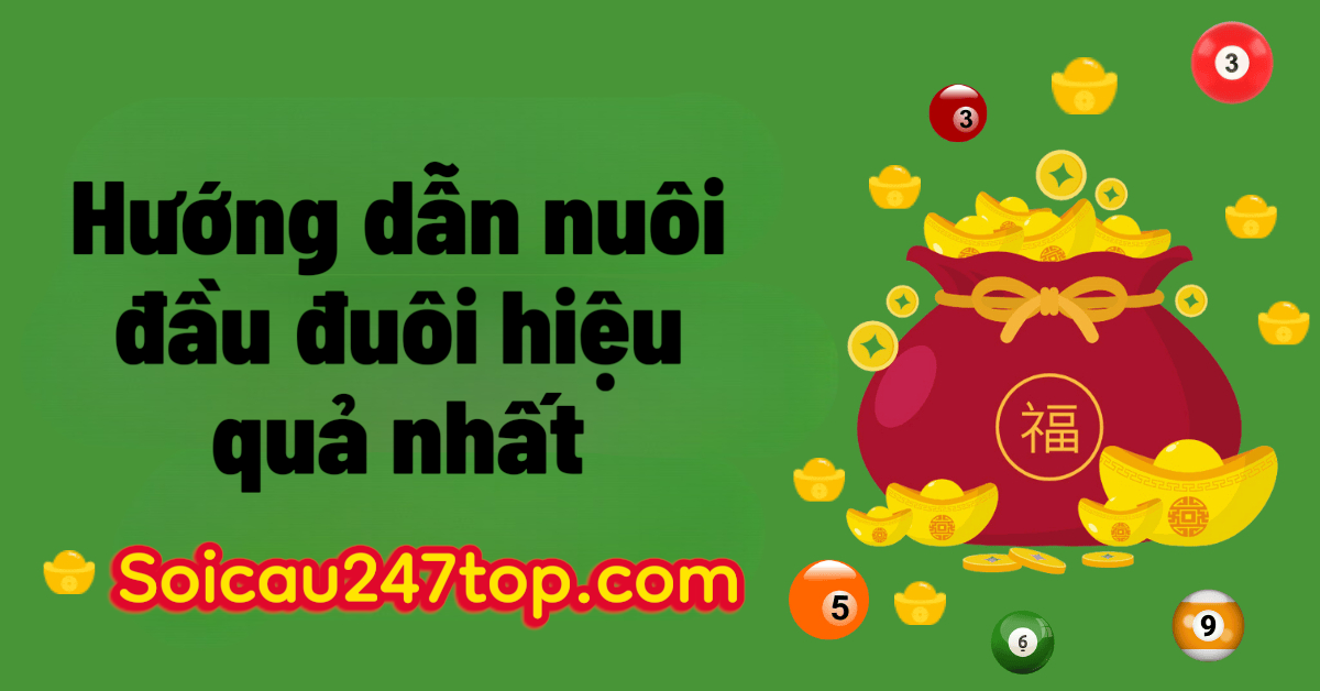 Cach-nuoi-dau-duoi-mien-bac