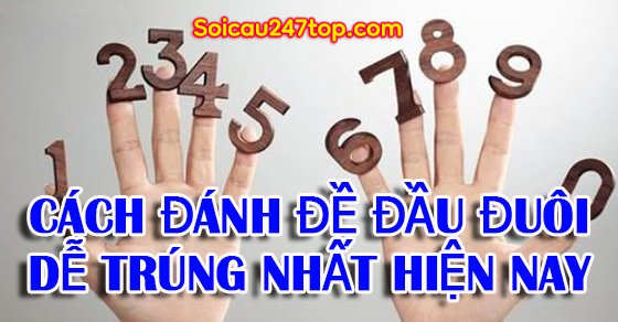 cach-nuoi-dau-duoi-hieu-qua-nhat