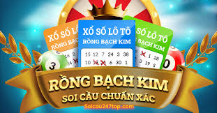 huong-dan-tham-khao-rong-bach-kim