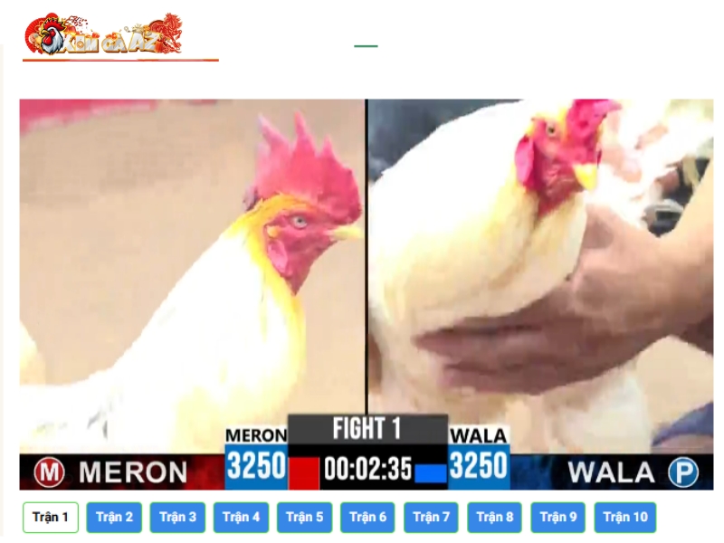 da-ga-truc-tiep-xom-ga-az