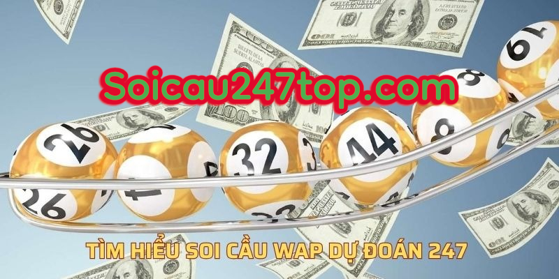 tim-hieu-ve-soi-cau-wap-247