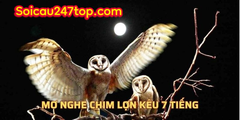 Mo-nghe-chim-lon-keu-7-tieng