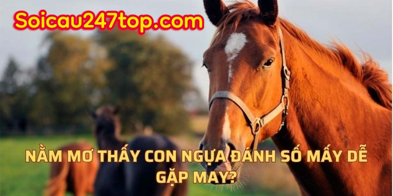 giai-ma-giac-mo-ve-con-ngua-trong-lo-de