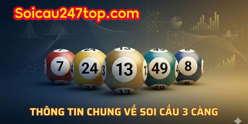 tim-hieu-soi-cau-3-cang-lo-mien-bac